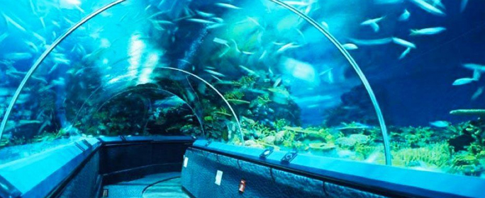 水族馆图片5.jpg